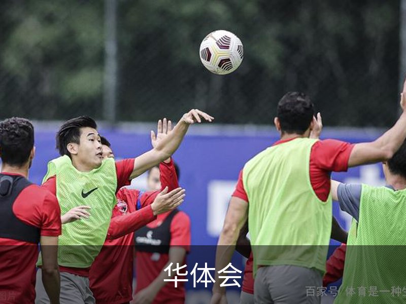 关于华体会